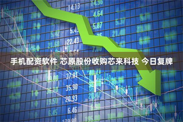 手机配资软件 芯原股份收购芯来科技 今日复牌