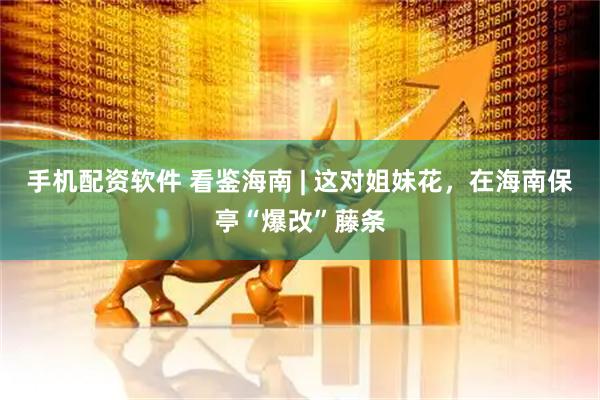 手机配资软件 看鉴海南 | 这对姐妹花，在海南保亭“爆改”藤条
