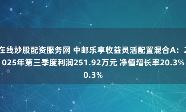 在线炒股配资服务网 中邮乐享收益灵活配置混合A：2025年第三季度利润251.92万元 净值增长率20.3%