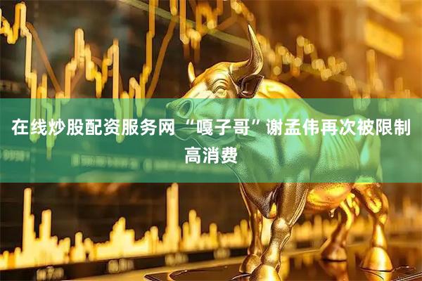 在线炒股配资服务网 “嘎子哥”谢孟伟再次被限制高消费