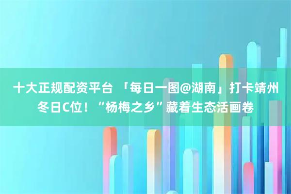 十大正规配资平台 「每日一图@湖南」打卡靖州冬日C位！“杨梅之乡”藏着生态活画卷
