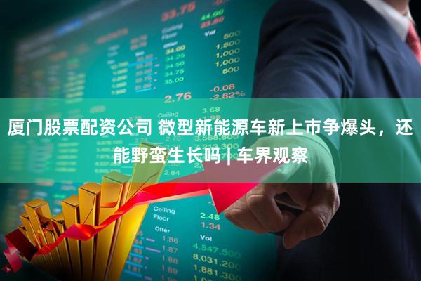 厦门股票配资公司 微型新能源车新上市争爆头，还能野蛮生长吗 | 车界观察