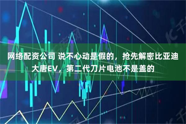 网络配资公司 说不心动是假的，抢先解密比亚迪大唐EV，第二代刀片电池不是盖的